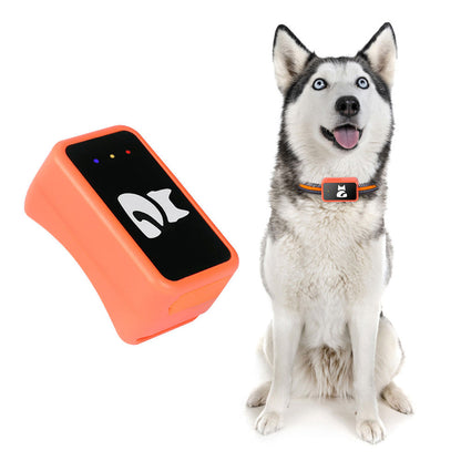PawiSition No Subscription Cat GPS Tracker & Health Monitor