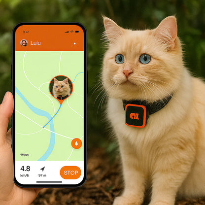 PawiSition No Subscription Cat GPS Tracker & Health Monitor