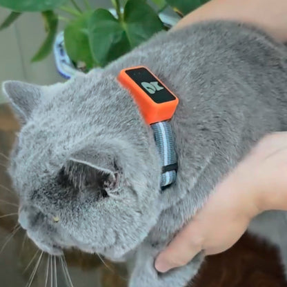 PawiSition No Subscription Cat GPS Tracker & Health Monitor