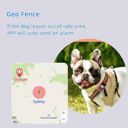 PawiSition No Subscription Cat GPS Tracker & Health Monitor