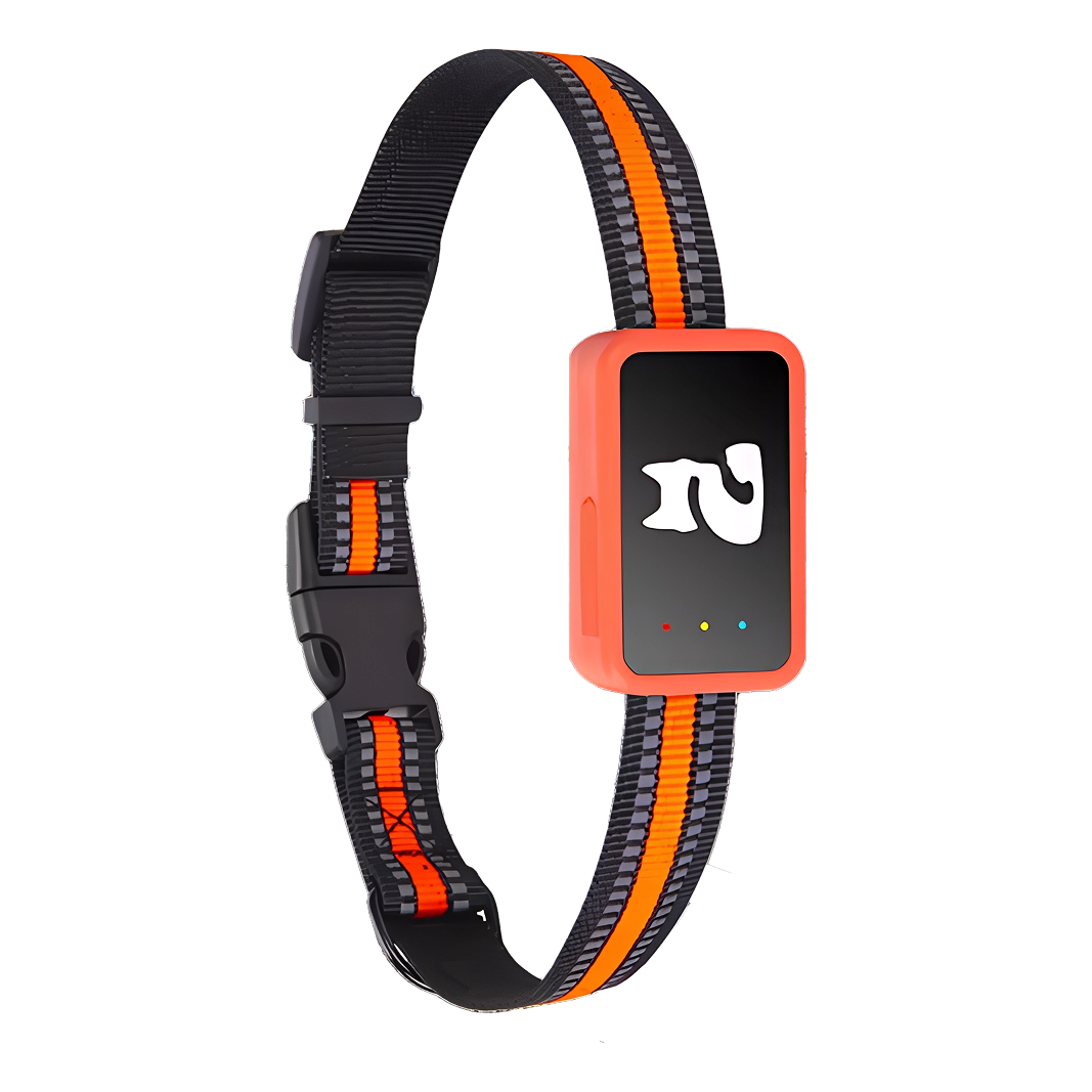 PawiSition No Subscription Cat GPS Tracker & Health Monitor
