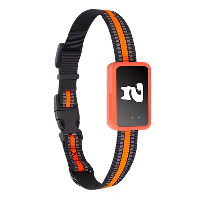 PawiSition No Subscription Cat GPS Tracker & Health Monitor