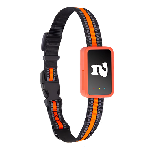No Subscription Cat GPS Tracker & Health Monitor - Real-Time Pet Location