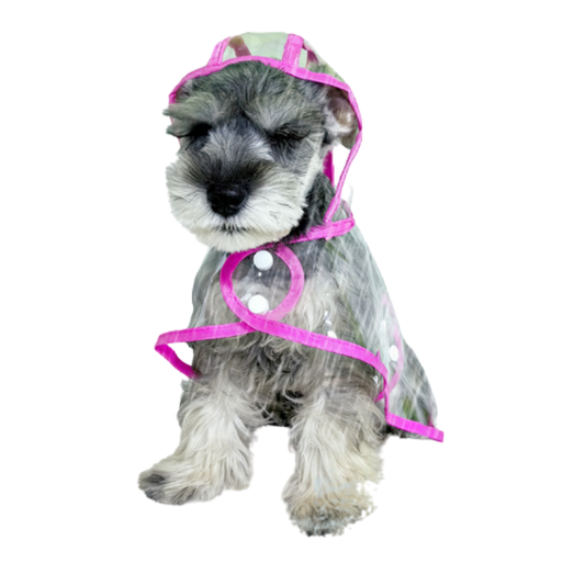 Waterproof Dog Raincoat - Transparent Pet Jacket