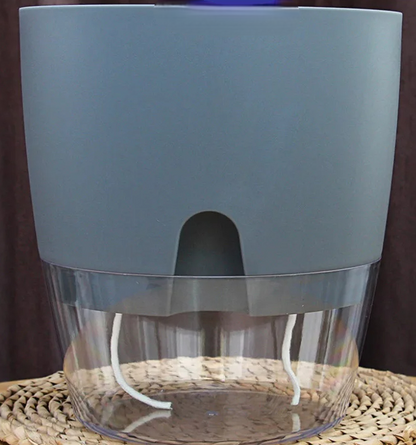 Self-Watering Transparent Planter – Dual Layer Pot