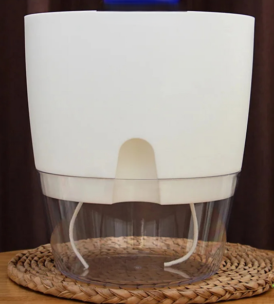 Self-Watering Transparent Planter – Dual Layer Pot