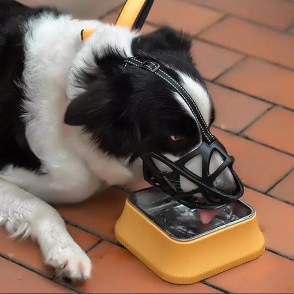 Adjustable Dog Muzzle – Safe Anti-Bite Training Guard