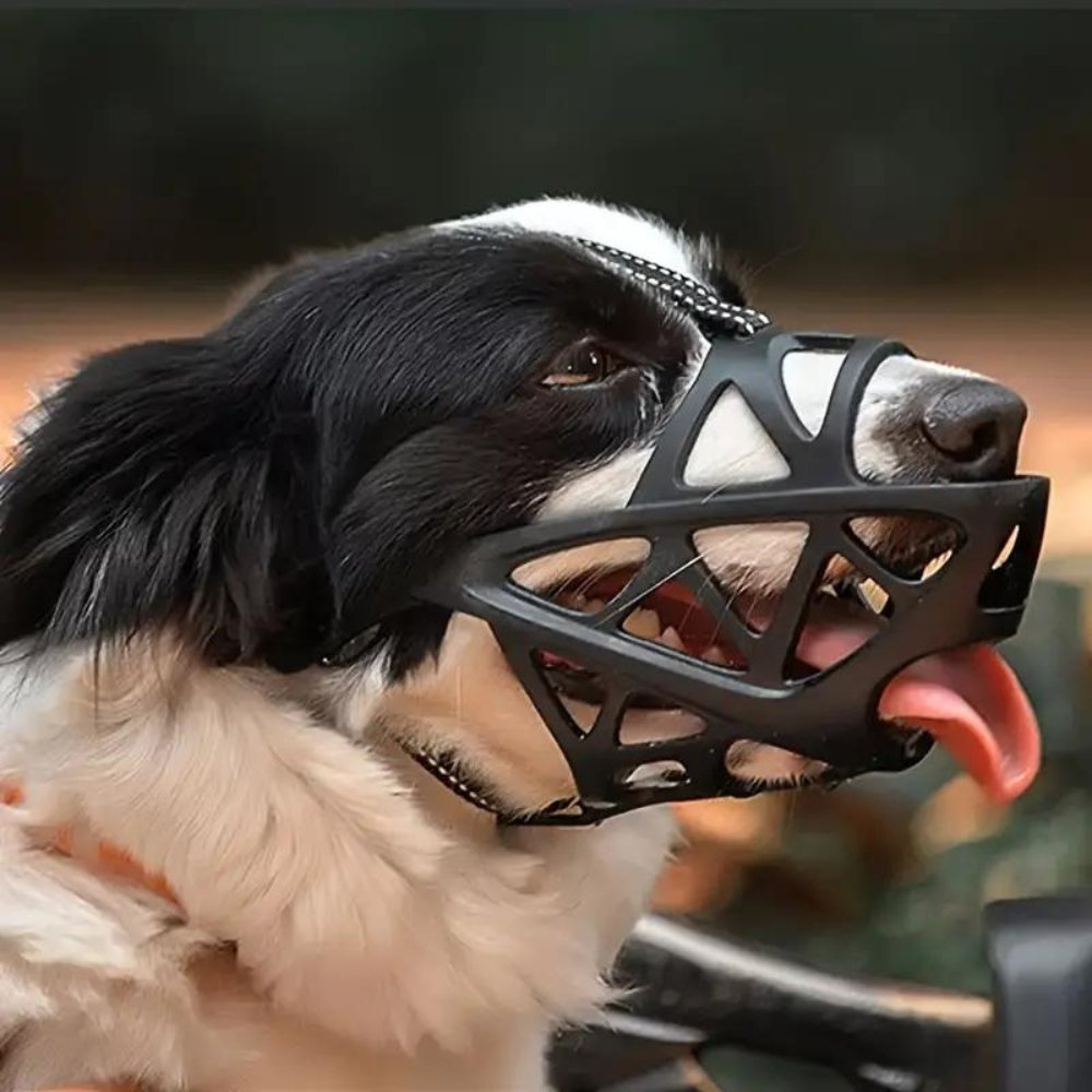 Adjustable Dog Muzzle – Safe Anti-Bite Training Guard