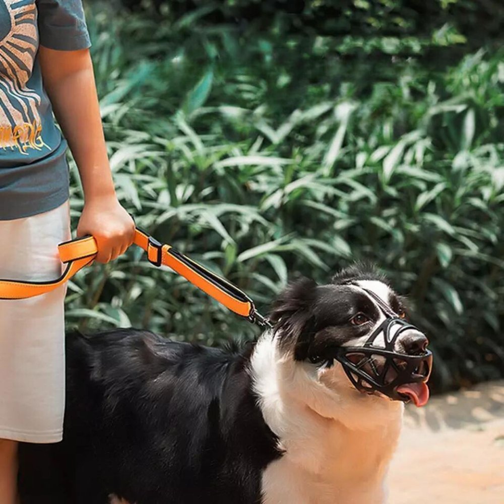Adjustable Dog Muzzle – Safe Anti-Bite Training Guard