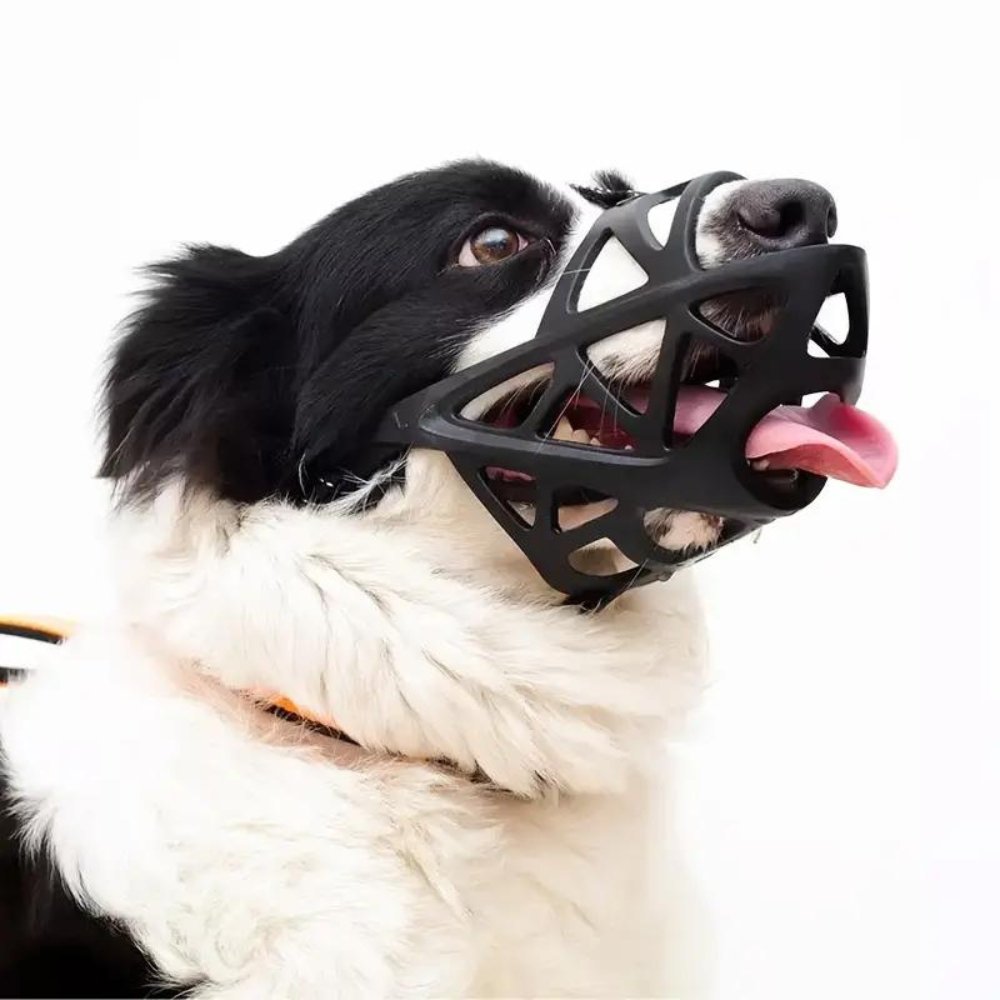 Adjustable Dog Muzzle – Safe Anti-Bite Training Guard