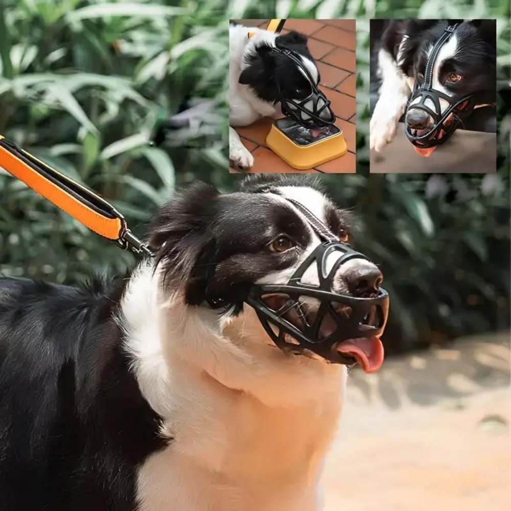 Adjustable Dog Muzzle – Safe Anti-Bite Training Guard