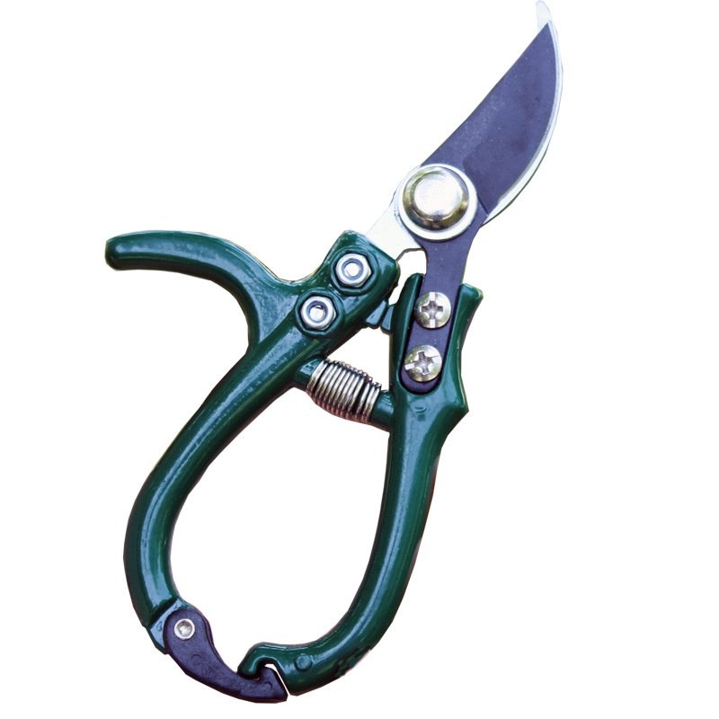 Stainless Steel Pruning Shears - Garden Scissors