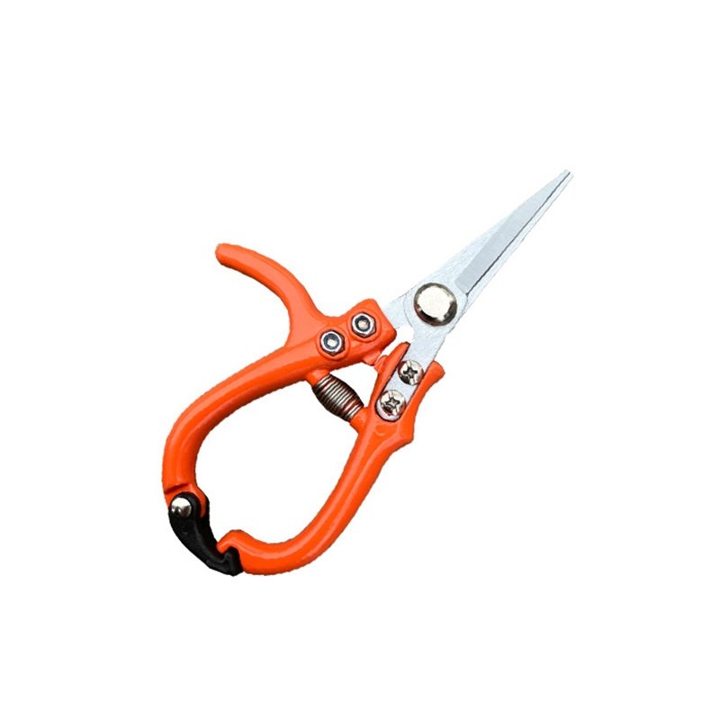 Stainless Steel Pruning Shears - Garden Scissors