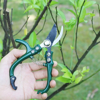 Stainless Steel Pruning Shears - Garden Scissors