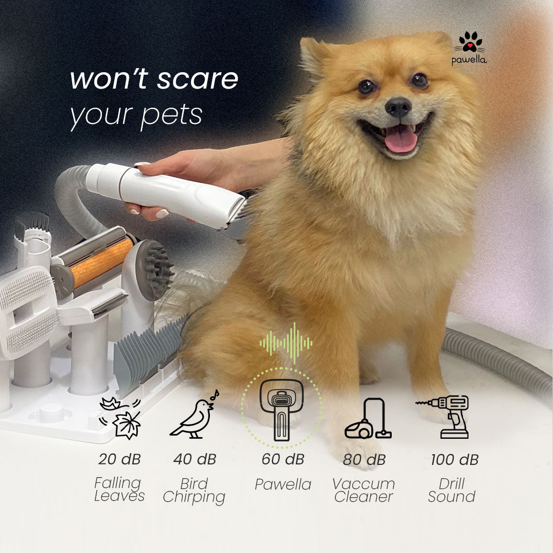Pet Grooming Vacuum Kit – 5 Tools with 2.5L Dust Cup