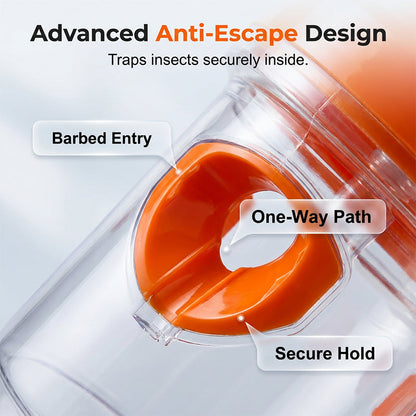 Solar-powered wasp trap with anti-escape design