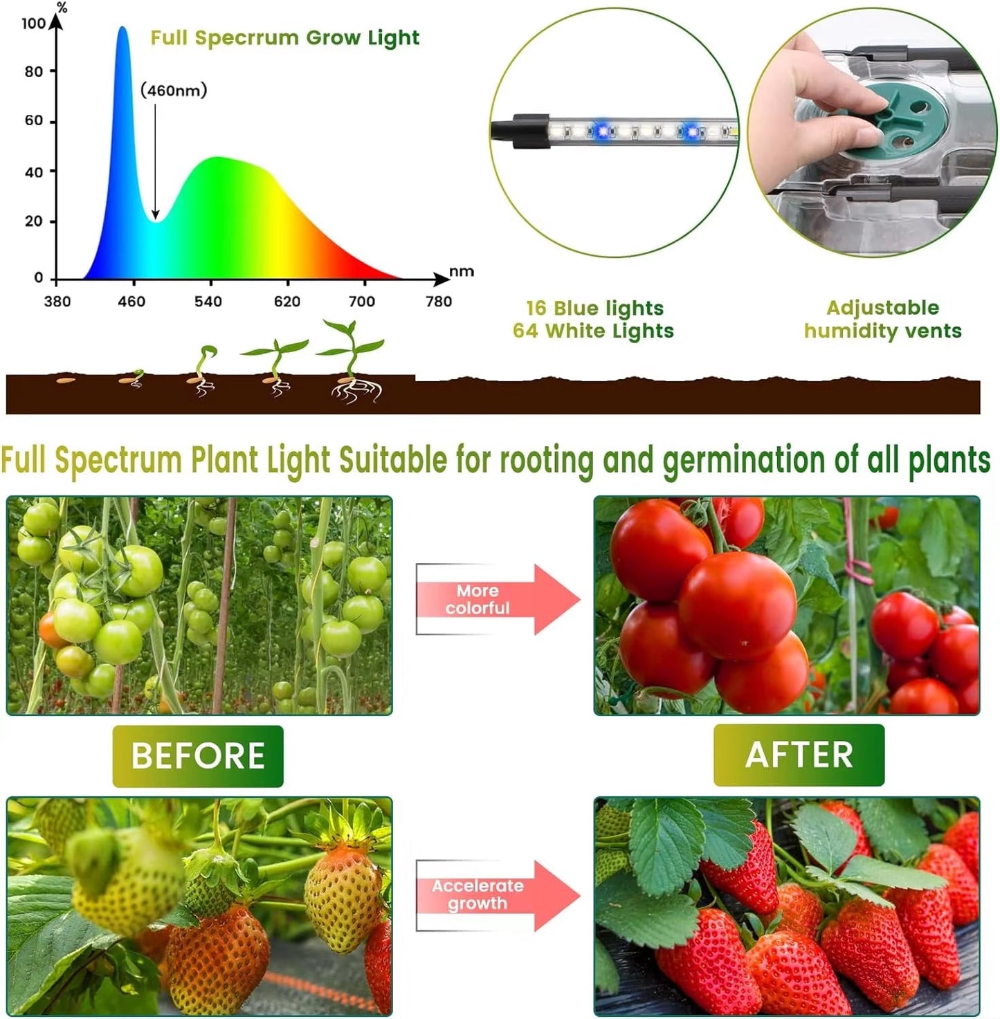 Seed Starter Tray with LED Grow Lights