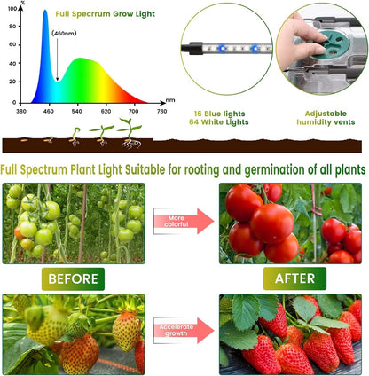 Seed Starter Tray with LED Grow Lights