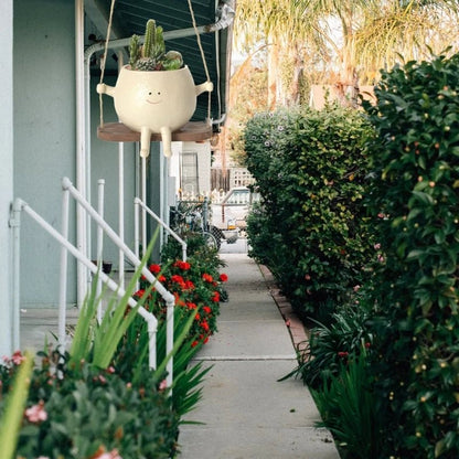 Swing Face Hanging Planter – Resin Succulent Pot