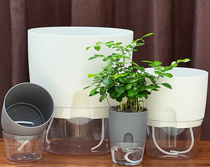 Self-Watering Transparent Planter – Dual Layer Pot