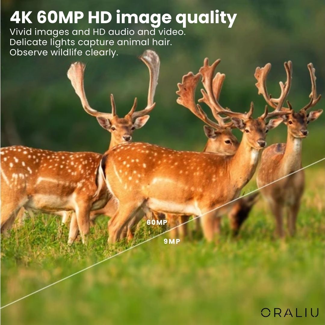 4K 60MP Wildlife Camera with Night Vision & App Control